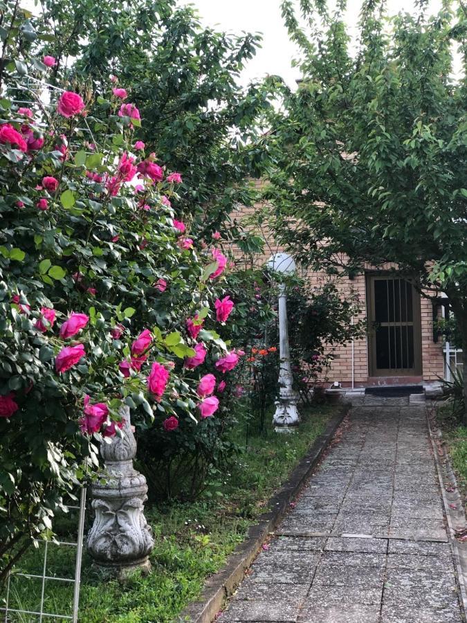 Villa Elita - Bela Crkva 贝拉茨尔克瓦 外观 照片